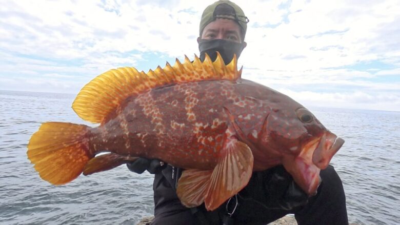 アメイザー　釣果