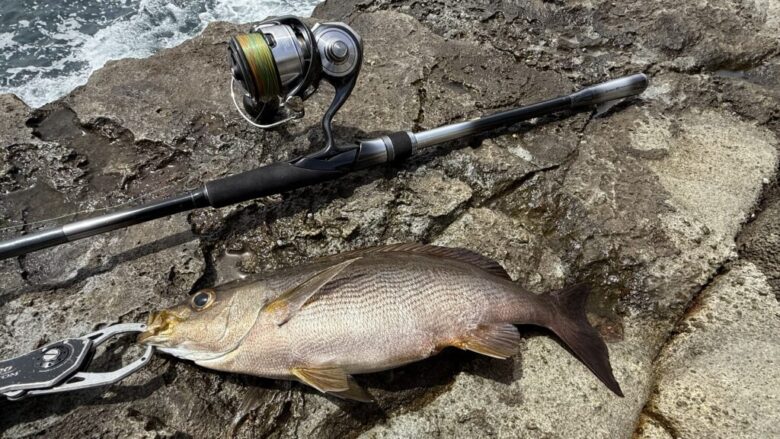 ガイダス　ライトショアジギング　釣果