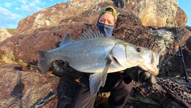 26セルテートHD ヒラスズキ