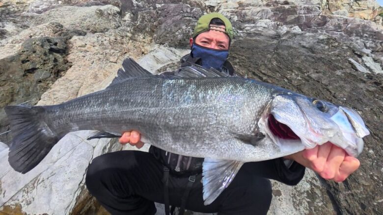 ハーデス　ヒラスズキ