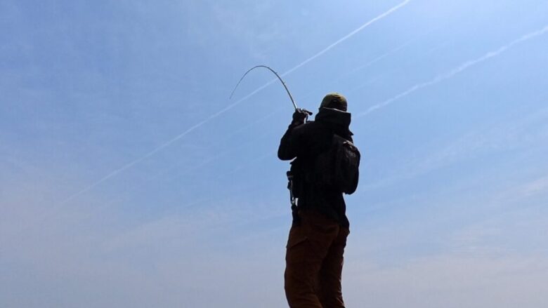 アカハタ　50cmオーバー