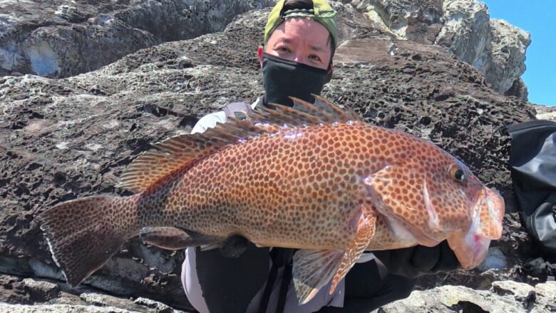 26リョウガ　ランカーロックフィッシュ