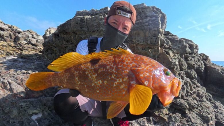 ロックライバー1G アコウ 釣果