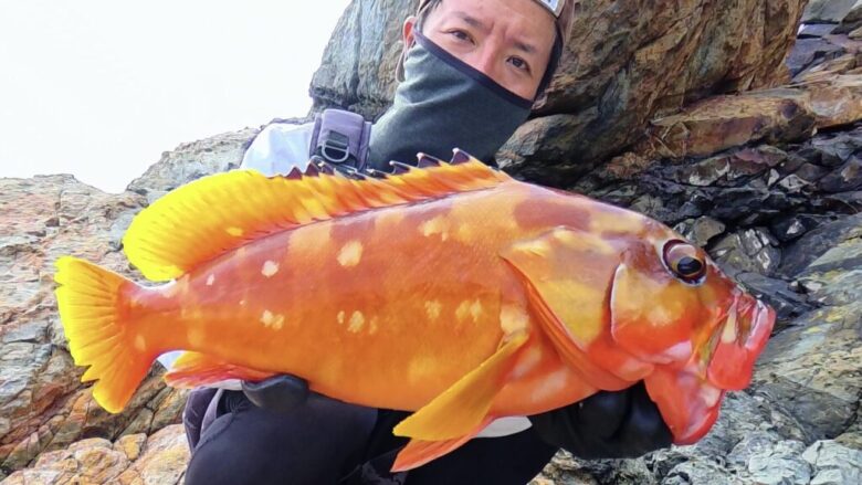 26ジリオン　ロックフィッシュ　釣果