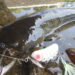 川　ルアー釣り